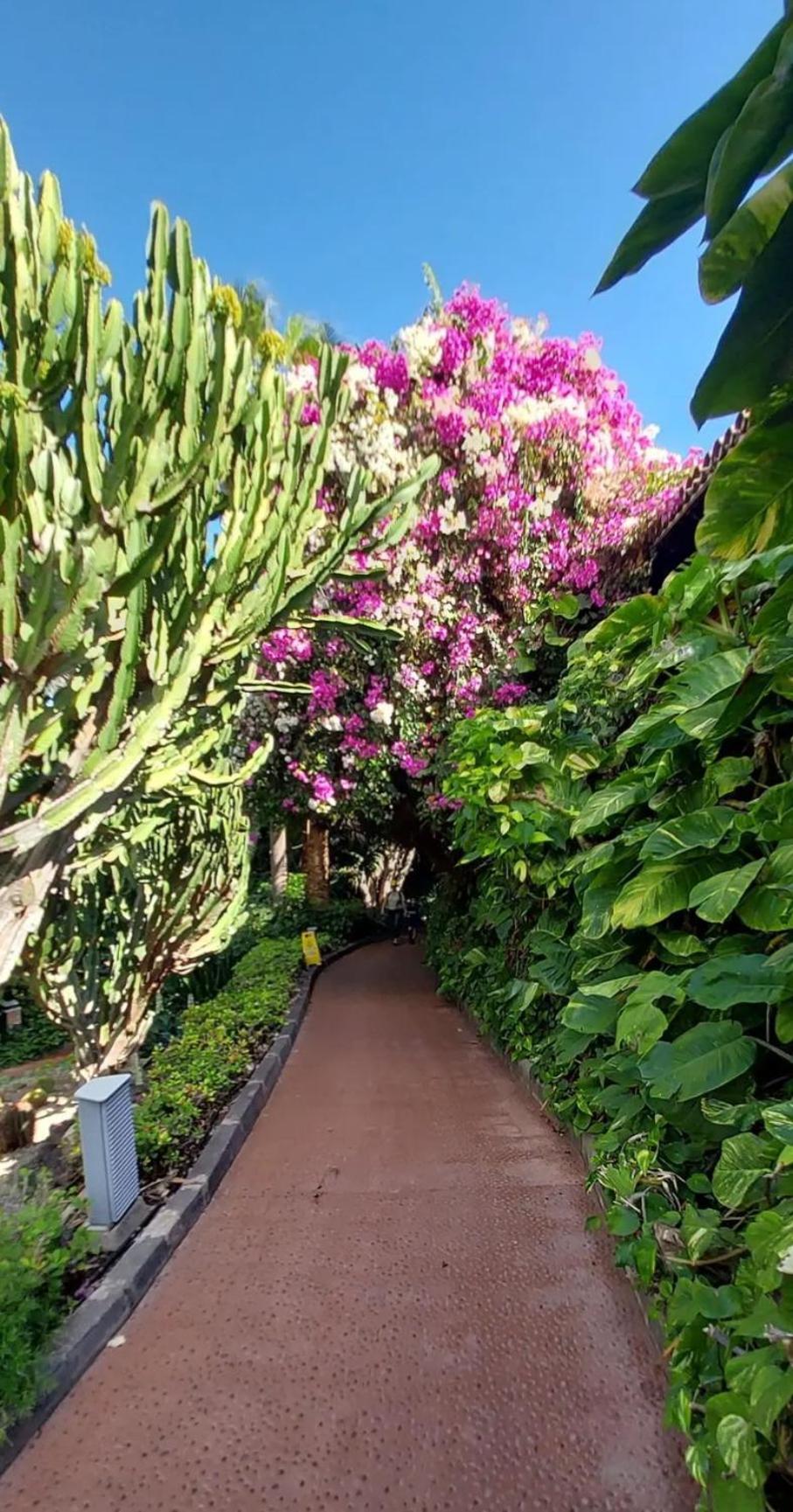 "Cathy'S Home"- Apart Luxury - Adult Only - Large Terrace Private Puerto de Santiago  Exterior foto